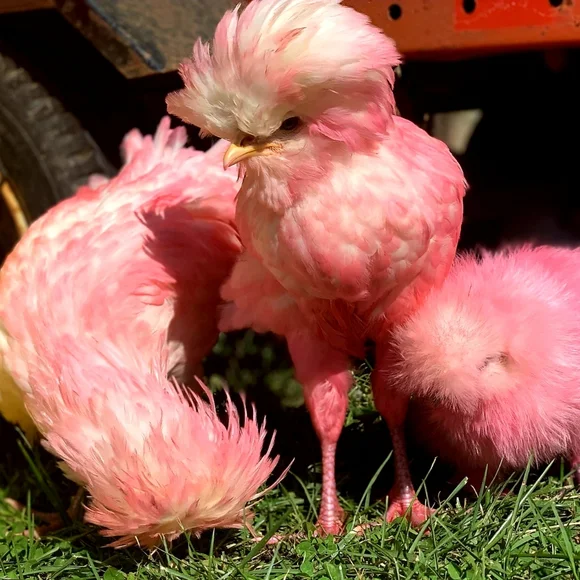 โฅ๏ธThank You Stopping Inโฅ๏ธ - Picture 5 of 5